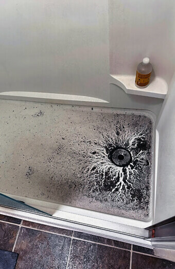 https://blockeddrainsmaddington.com.au/uploads/2025/07/blocked-shower-drains-83587.jpg